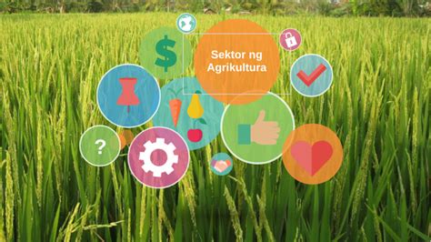 Advocacy Campaign by Zerah Javier on Prezi.